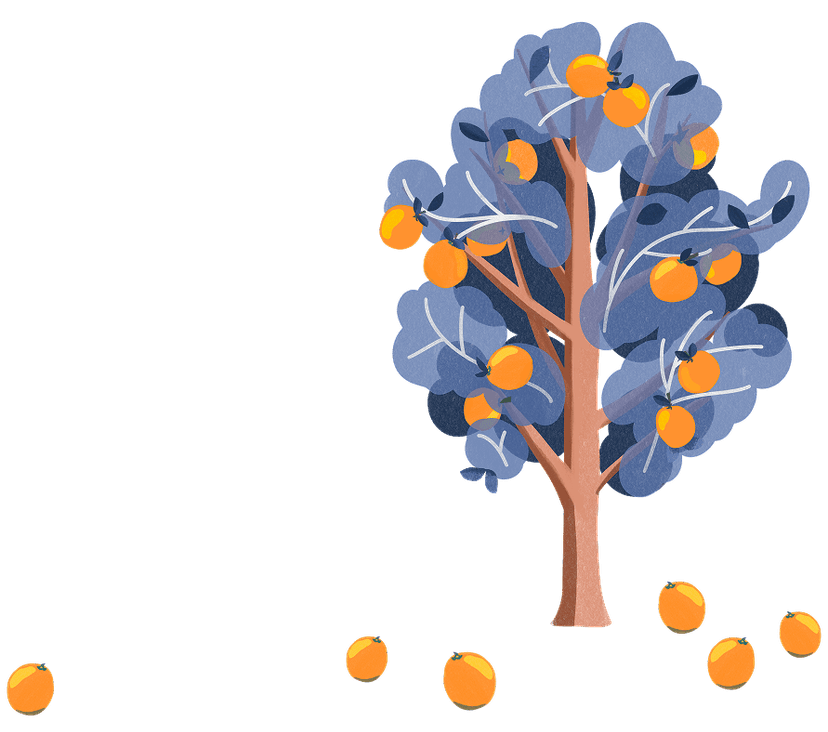 Orange tree illustration